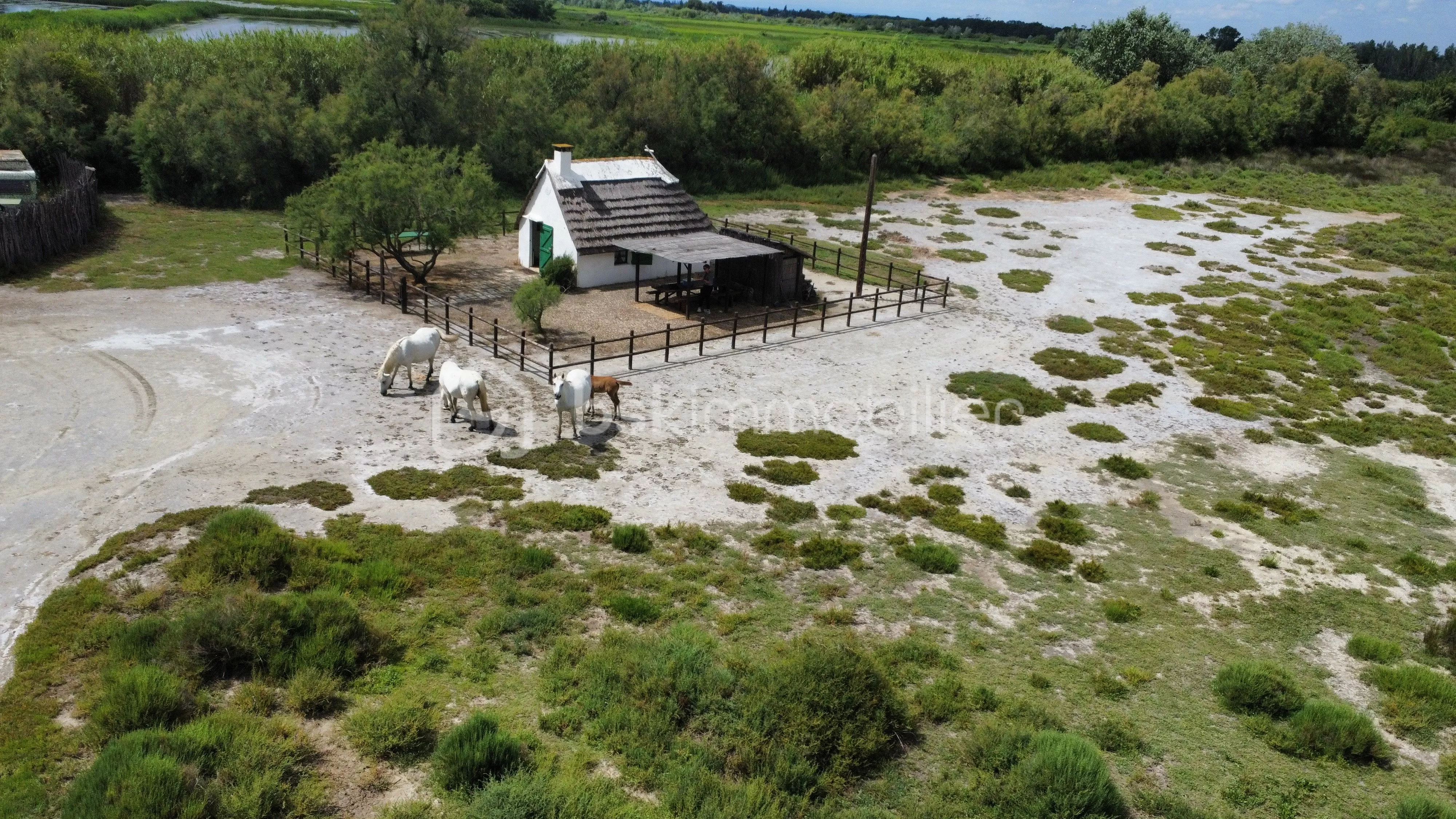 Image de la propriété